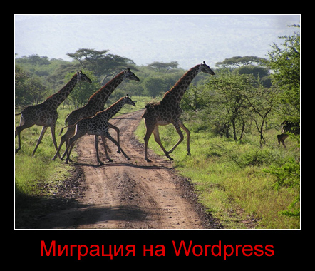 Миграция на WordPress
